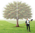 20ft x 20ft extra large fruit tree netting, main product view