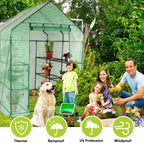 stream greenhouse, 4.75’x4.75’x6.4’ green house indoor greenhouse with shown in use