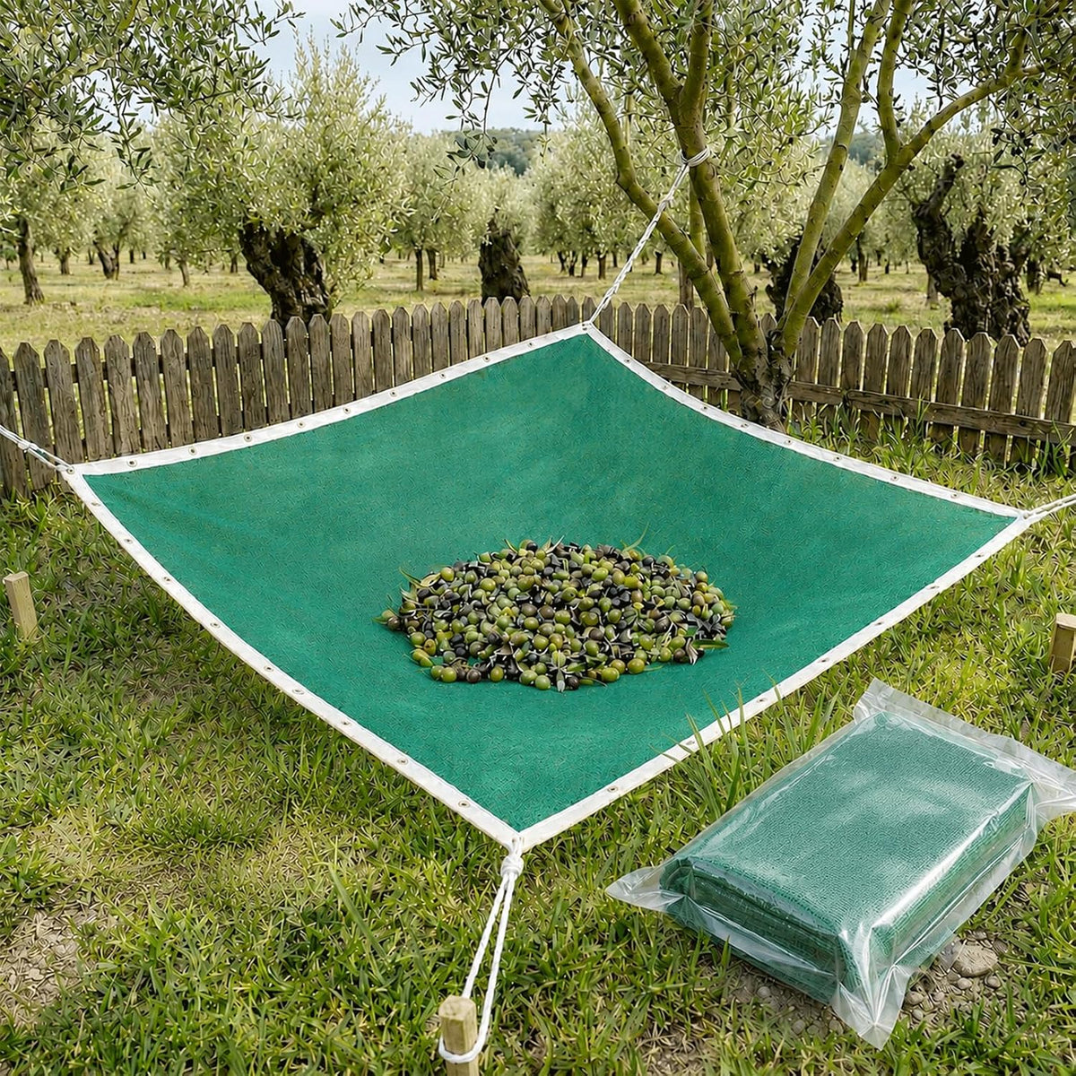 fruit tree netting, 16.4 x 13.1 ft under-tree, main product view