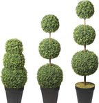 haute decor adjustable artificial boxwood topiary tree shown in use