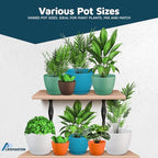 Multicolor Plant Pots with Drainage Holes & Saucers 5 Pack, Indoor & Outdoor Stackable Space-Saving Planters for Houseplants & Flowers, (7", 6.7", 6", 5.3", and 4.8" Inches), Durable & Weatherproof