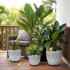 Ceramic Planter - 6.3 Inch Plant Pot for Indoor Ourdoor Plants, Round Succulent Planter, Decorative Flower Pots with Drainage Hole and Saucer, Home Desk Decor, Housewarming Gifts, White-black