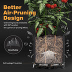 Self-Watering Grow Bags, 5-Pack 7 Gallon 420G Thick Nonwoven Fabric Pots with Reinforced Handles and Multi-Purpose Rings, for Low Stress Plant Training Fruits, Vegetables,and Flowers