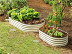 Plant & Plot Galvanized Raised Garden Beds Outdoor // 6×3×1 ft (2-Pack) Planter Raised Beds for Gardening, Vegetables, Flowers // Large Metal Garden Box // Patented Tool-Free Design (White)