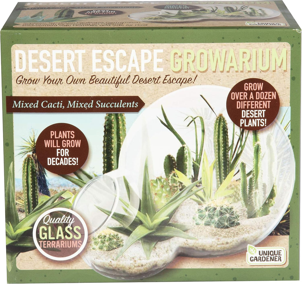 grow your own desert escape in a quality, main product view