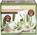 grow your own desert escape in a quality, main product view