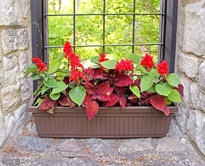 The HC Companies 18 Inch Venetian Rectangular Window Planter Box - Lightweight Plastic Indoor Outdoor Plant Pot with Drainage for Windowsill, Herbs, Flowers, Chocolate (Pack of 2)