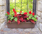 The HC Companies 18 Inch Venetian Rectangular Window Planter Box - Lightweight Plastic Indoor Outdoor Plant Pot with Drainage for Windowsill, Herbs, Flowers, Chocolate (Pack of 2)
