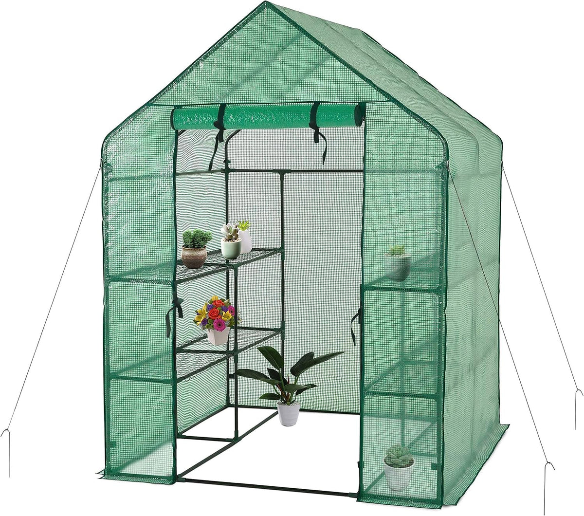 deluxe green house 56" w x 56" d, main product view