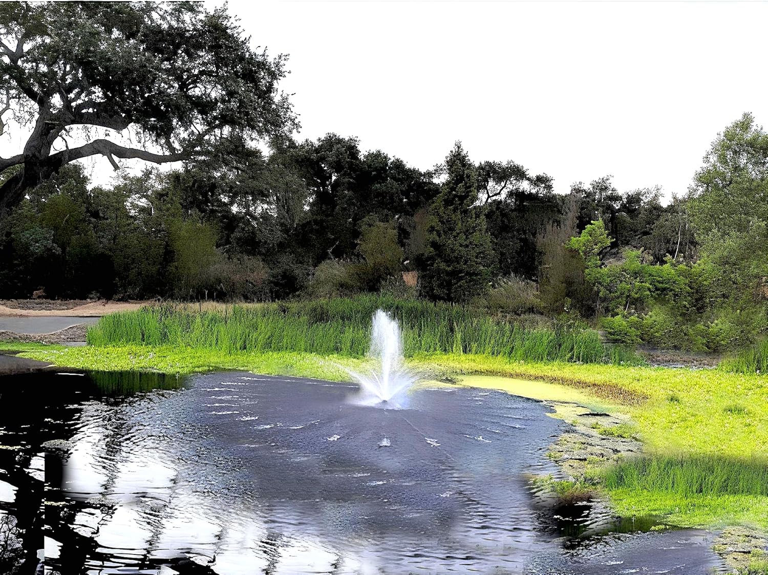 FT 14000 Floating Pond Fountain and Aerator Complete Kit with 14,000 GPH Pump, 100 Foot Power Cord, 3 Spray Styles | 100% US-Based Customer Service and Warranty