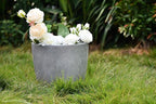 Kante 14 Inch Dia Round Concrete Planter, Indoor Outdoor Large Plant Pot with Drainage Hole and Rubber Plug for Home Patio Garden, Natural Concrete