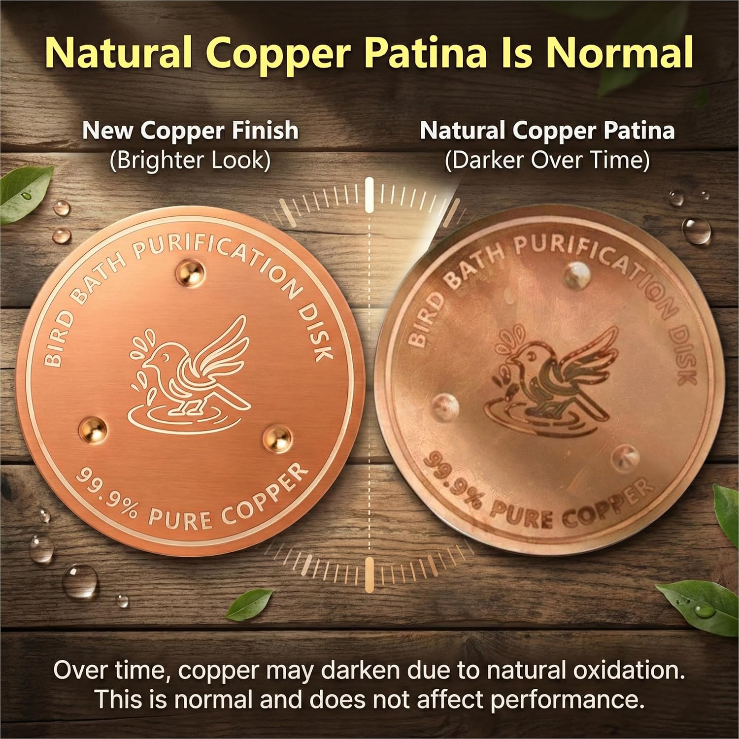 Factee 2PCS Bird Bath Copper Disk – 0.6mm Thick 99.9% Pure Copper Cleaning Disk, Helps Maintain Cleaner-Looking Water, All-Season Use for Outdoor Bird Baths, Bowls, Bird Bath Solar & Fountains