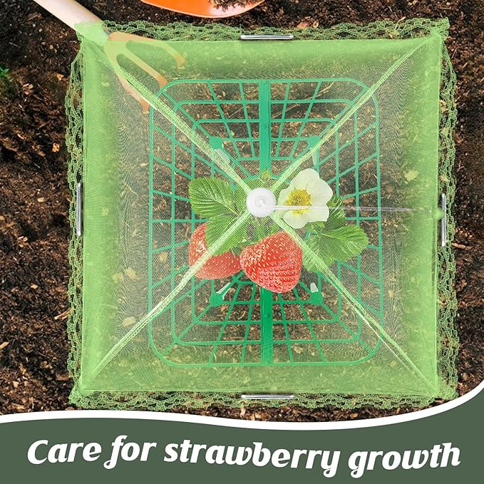 6 Sets Strawberry Plant Support with Mesh Plant Cover,Strawberry Growing Racks Sets with Iron Plant Nails and Storage Bag for Garden Strawberry Vegetables(Green Net - Square)