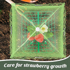 6 Sets Strawberry Plant Support with Mesh Plant Cover,Strawberry Growing Racks Sets with Iron Plant Nails and Storage Bag for Garden Strawberry Vegetables(Green Net - Square)