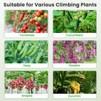 Cucumber Trellis, 47" X 50" Arch Garden Trellis for Climbing Plants Outdoor, Foldable Trellis Cucumber for Raised Bed Vegetable/Tomato/Flowers/Pea
