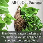 tapeera 2-pack artificial plants (with baskets) - ivy, side view