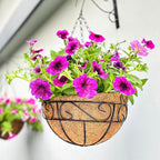 LaLaGreen Hanging Baskets for Plant Outdoor (18 Inch, 4 Pack) Large Black Metal Wire Hanging Planter with Coco Liner Round Flower Pot Hook Holder Hanger Deck Porch Country Modern Garden Balcony Decor