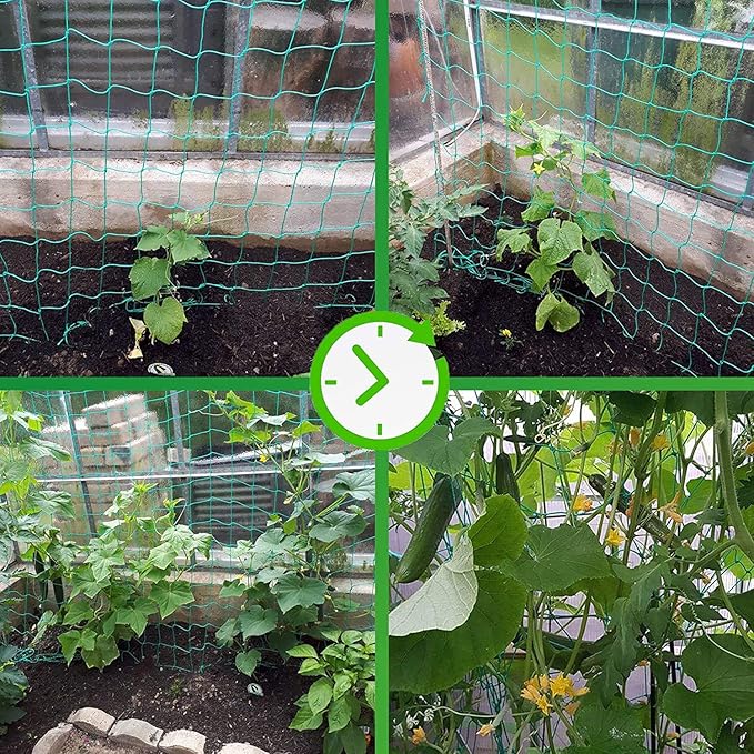 Trellis Netting for Climbing Plants - Heavy Duty Garden Trellis Netting for Cucumber, Vine, Fruits & Vegetables Tomato Plants Trellis Net, Climbing Vining Plants (1-Pack 16.4' x 6.6'Ft)