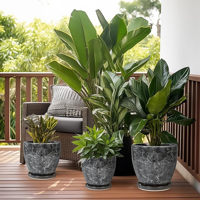 6.3 Inch Plant Pot - Ceramic Planter for Indoor with Drainage Hole and Saucer, Round Succulent Pot, Modern Flower Planters, Home Room Garden Office Decor, Gardening Gifts for Women, Grey