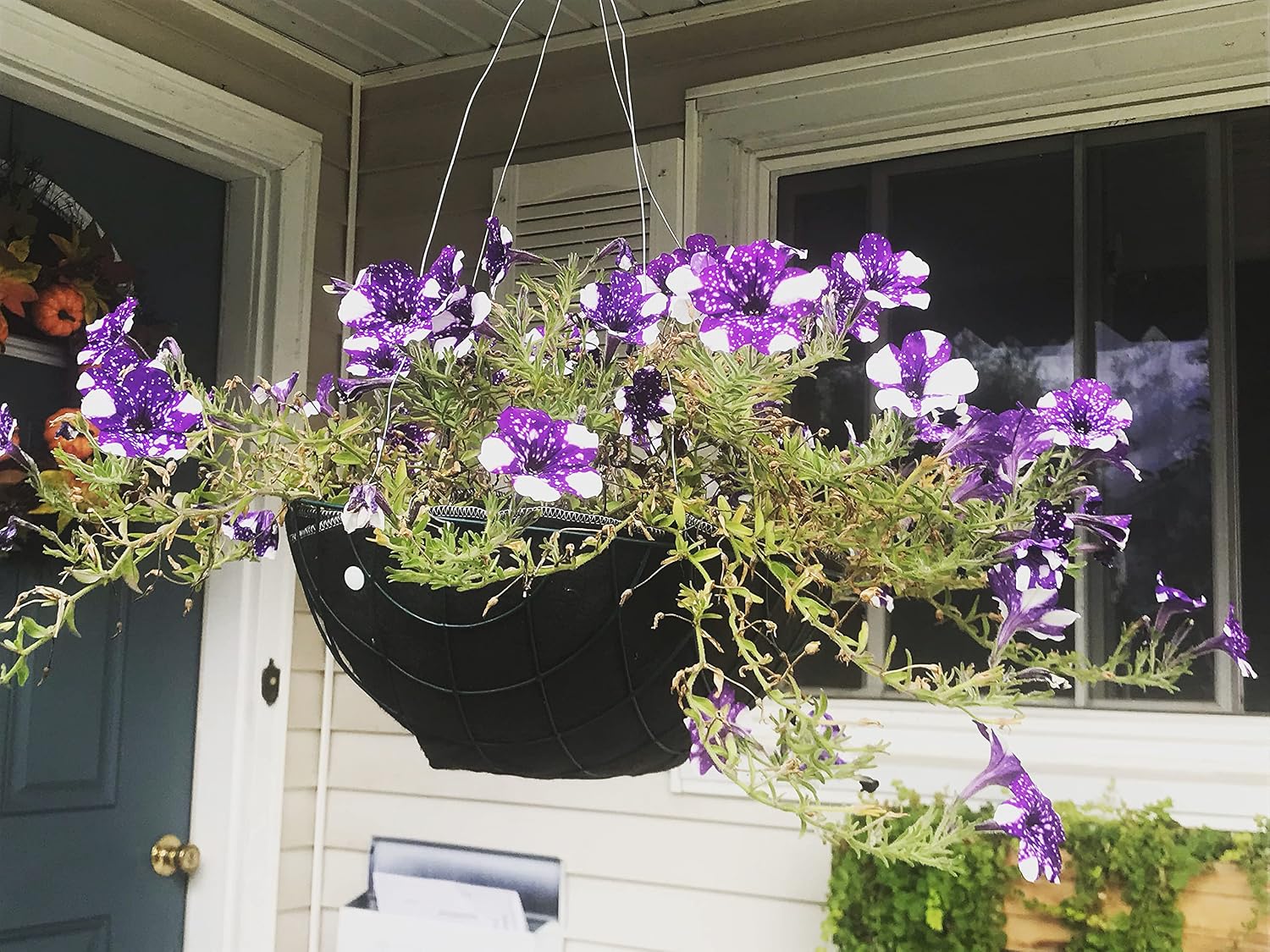 16" Reusable Hanging Basket Liner – Fabric Coco Liner Replacement for Wire Baskets, Bird Proof Moisture Retaining Planter Insert, EZ Swap Pots USA Made (2-Pack)