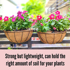 LaLaGreen Wall Hanging Planters (12 Inch, 2 Pack) Wall Mounted Flower Baskets with Coco Liner, Metal Iron Wire Plant Holder for Outdoor Window Box Herb Outside Fence Railing Deck Porch Balcony Garden