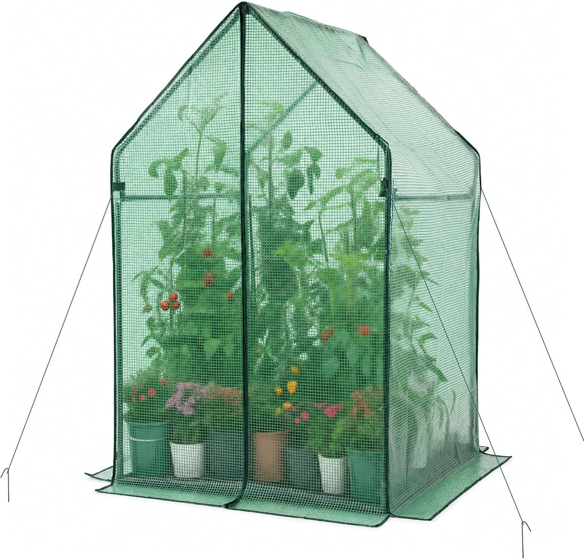 gardzen mini greenhouse, 36 x 36 x 59, main product view