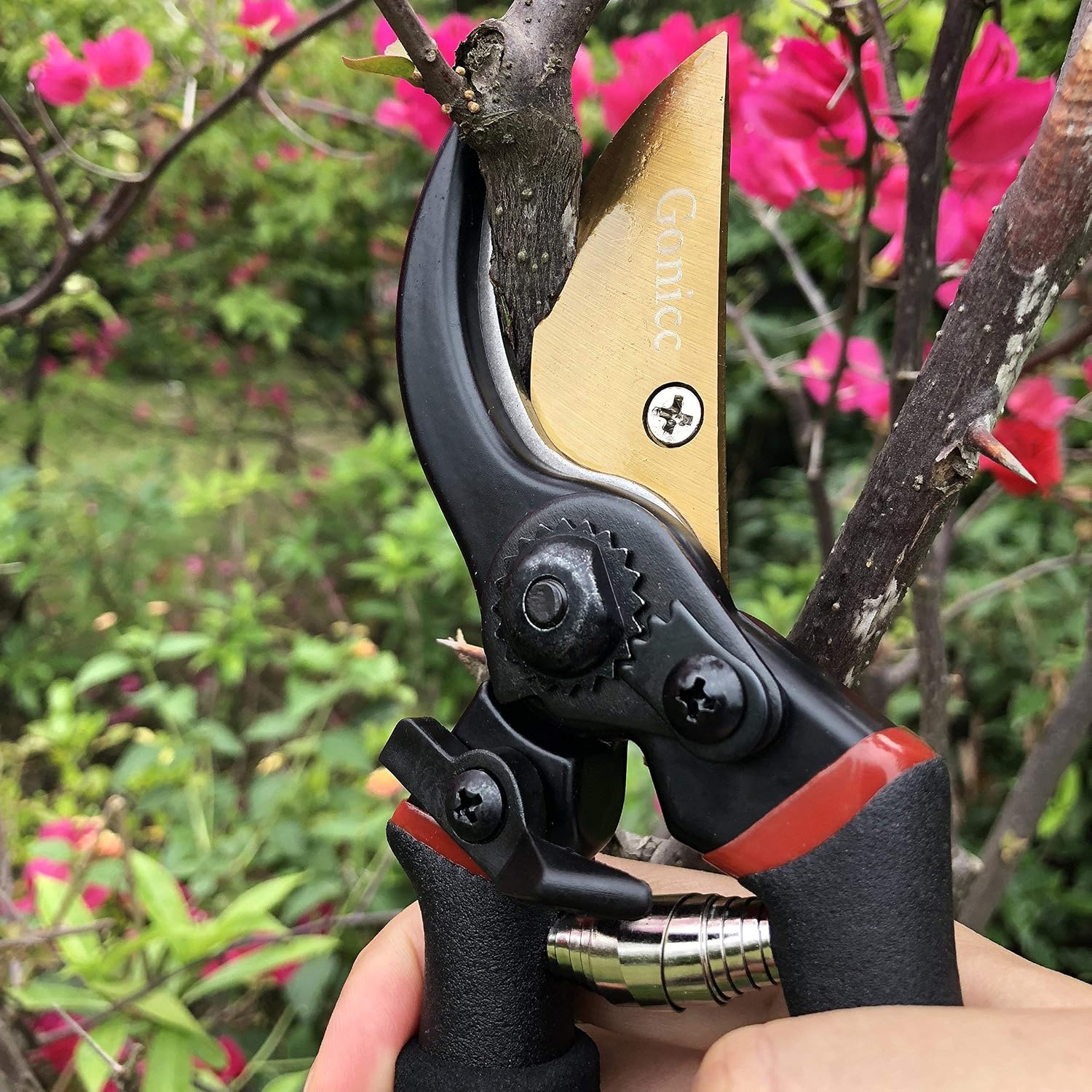 gonicc 8" Professional Premium Bypass Titanium Pruning Shears(GPPS-1003) | Titanium coated SK5 steel blade, Ergonomic non-slip handle, Sap groove anti-stick design, Cuts up to 3/4" branches