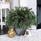 Faux Cedar Stems Artificial Norfolk Pine Branches for Christmas Decor, 12 PCS Fake Pine Stems with 2 PCS Pine Cones Branches Real Touch Realistic Faux Greenery for Vases DIY Garland Xmas Table Indoor