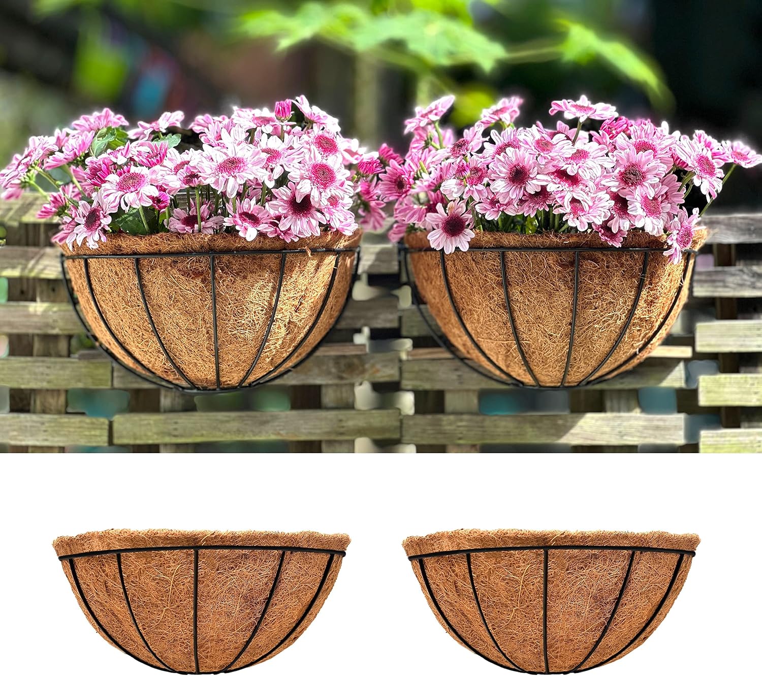 LaLaGreen Wall Hanging Planters (12 Inch, 2 Pack) Wall Mounted Flower Baskets with Coco Liner, Metal Iron Wire Plant Holder for Outdoor Window Box Herb Outside Fence Railing Deck Porch Balcony Garden