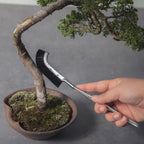 Wazakura Bonsai Curved Head Brush Made in Japan 9-1/4inch(235mm) - Black