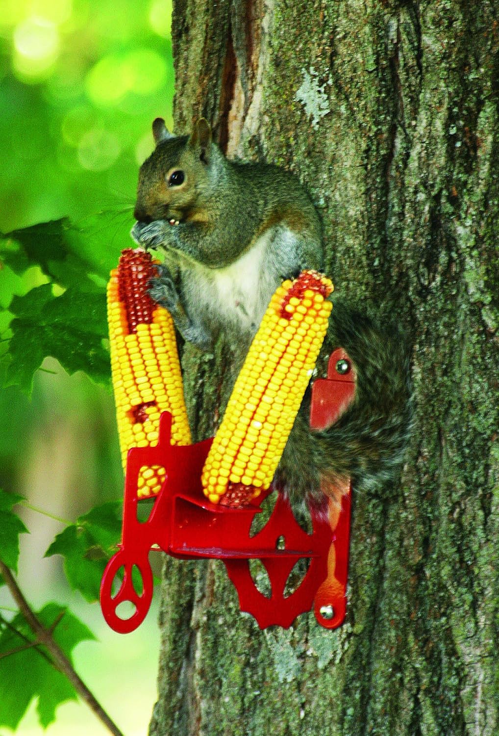 Stokes Select Tractor Cob Squirrel Feeder, Red, 2 Corn Cob Capacity