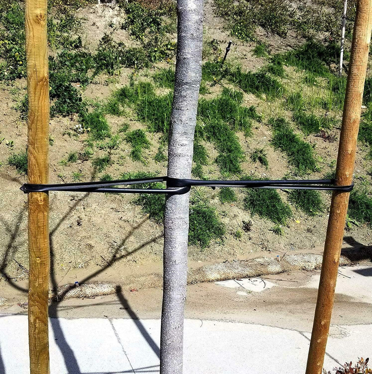 usa made - (50-pack) universal tree ties 32", main product view