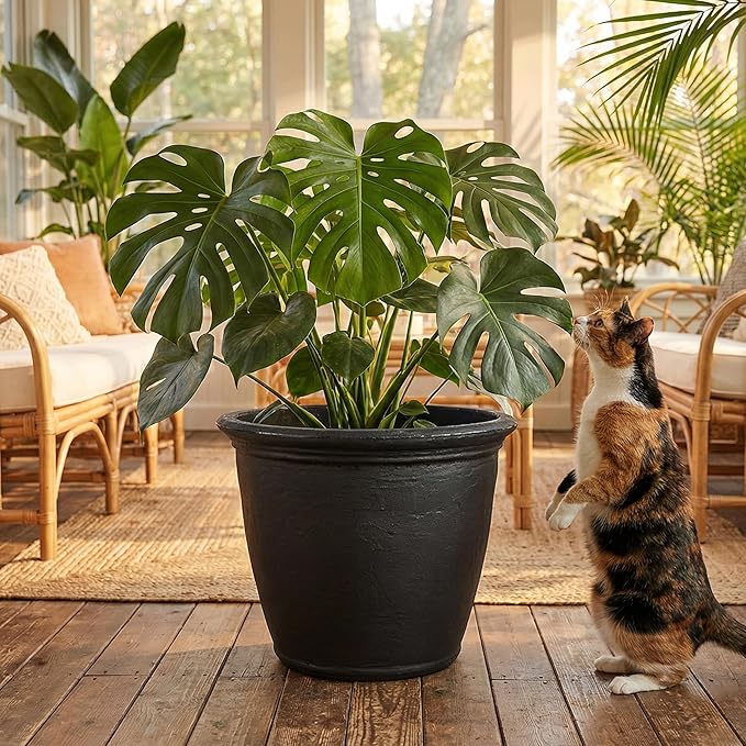 Sunnydaze 24-Inch Anjelica Large Plastic Pot for Plants - Outdoor Double-Walled Large Plastic Planter with Drillable Drainage Holes - Matte Black
