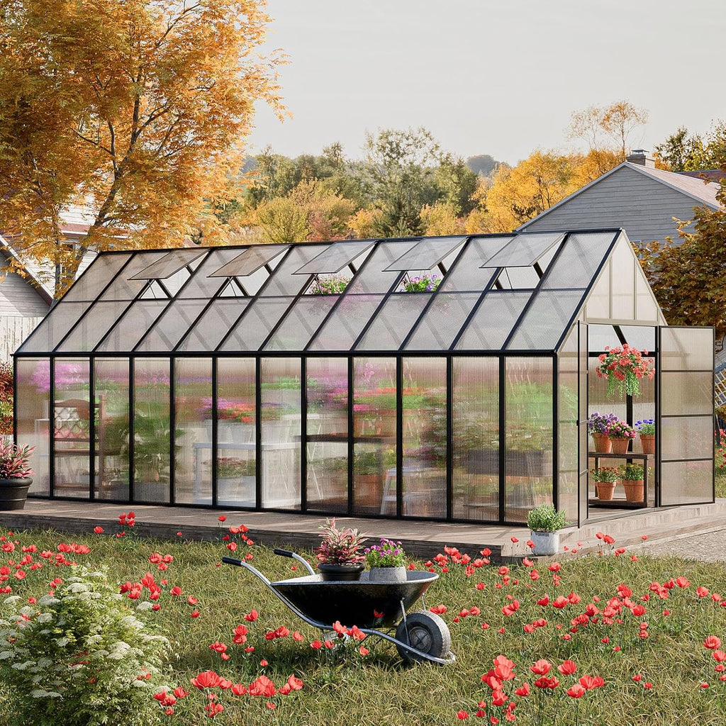 24x10x10 ft large greenhouse for outdoor, easy assembly, main product view