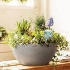 Clear Plant Watering Globes Set of 6 - Small Self Watering Globes for Indoor & Outdoor Plants - Automatic, Glass Watering Bulbs for Daily Use, Plant Watering Devices