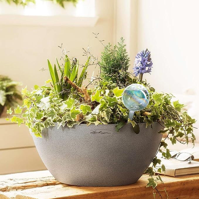 Clear Plant Watering Globes Set of 6 - Small Self Watering Globes for Indoor & Outdoor Plants - Automatic, Glass Watering Bulbs for Daily Use, Plant Watering Devices