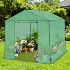 coos bay 8x8 pop up greenhouse outdoor, walk, main product view