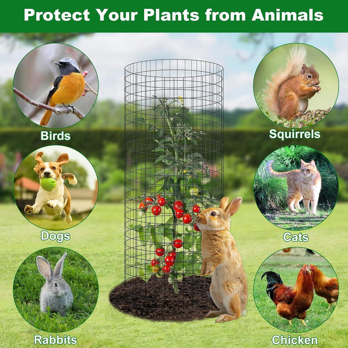 winemana 12 set plant protectors covers from animals, close-up detail