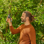 Gardena Secateurs PremiumCut Pro Fresh Wood, Bypass, 24 mm Cutting Diameter, ErgoTec Handle with Soft Grip, Precision-Ground Steel Blades, PowerCoating (12251-20)