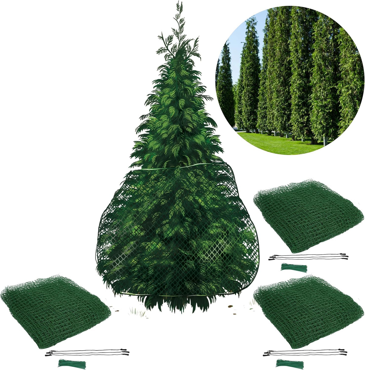 arborvitae netting wrap – deer protection for trees, front angle view