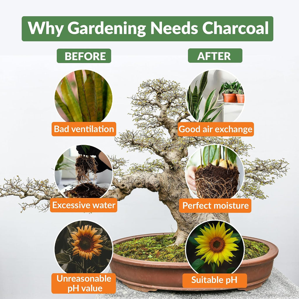 old potters premium horticultural charcoal chips, natural soil, side view