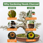 old potters premium horticultural charcoal chips, natural soil, side view