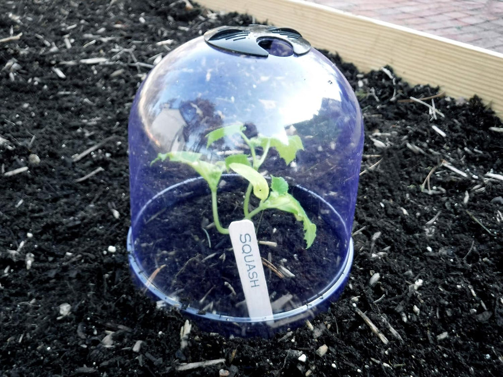 ! growaway™ small reusable plastic mini greenhouse, garden, close-up detail