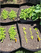 CJGQ Fabric Raised Garden Bed, 128 Gallon 8 Grids Plant Grow Bags, 3x6FT Planter Raised Beds for Growing Vegetables Potatoes Flowers, Rectangle Planting Container for Outdoor Gardening
