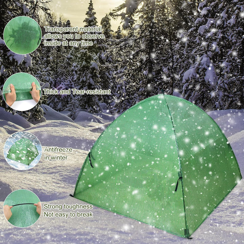plant tent outdoor winter shrub cover green frost, side view