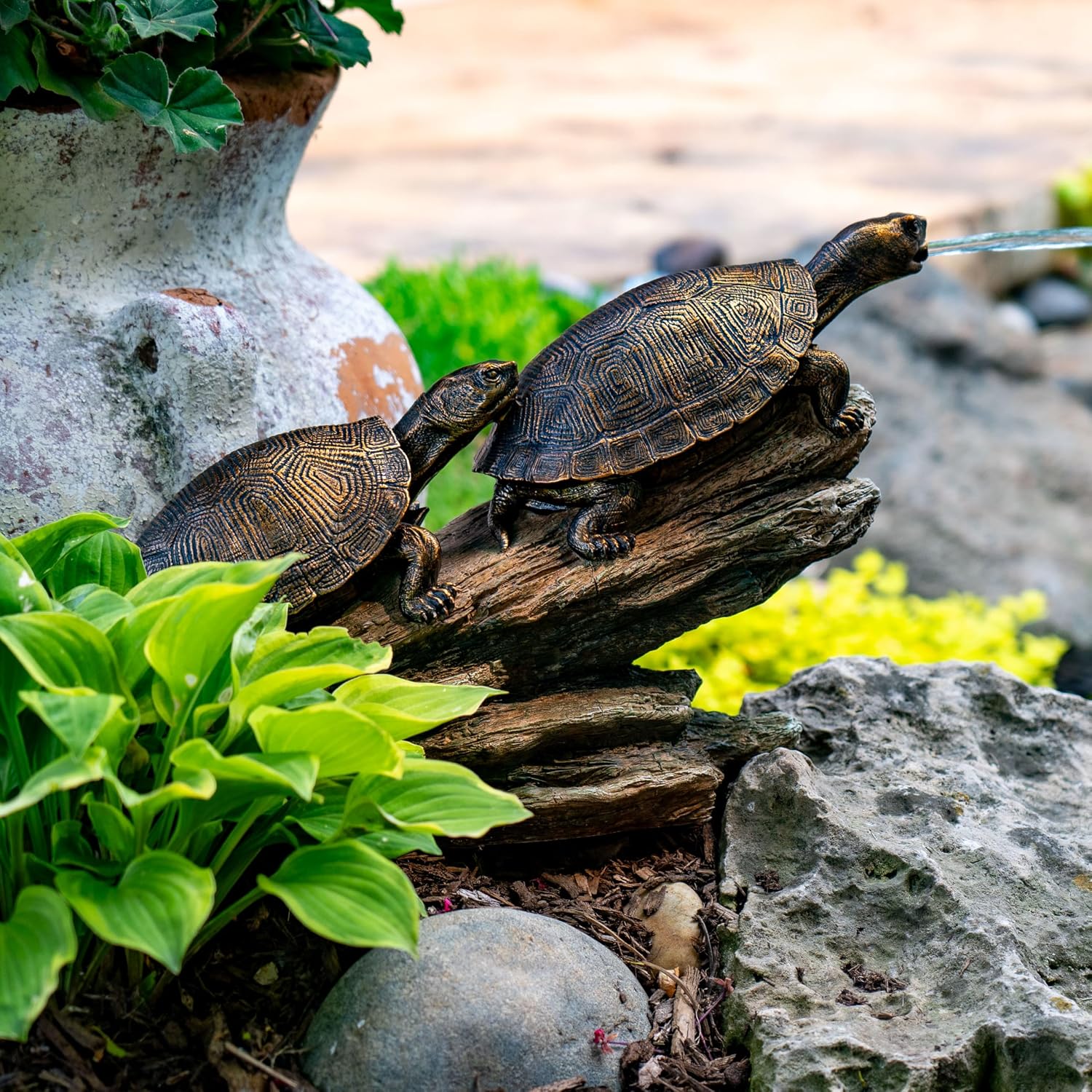 Aquascape Double Turtle On Log Spitter Fountain for Pond and Garden, 78372