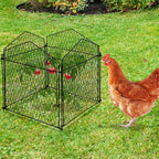 decohs 4 packs chicken wire cloche plant protectors, package contents