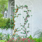 sungmor metal trellises for climbing plants, overall 20, main product view