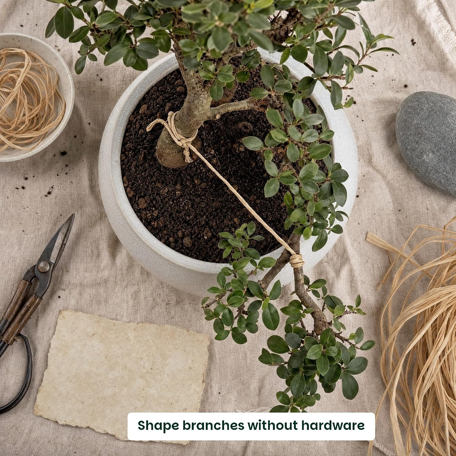 Bonsai Tree Raffia - Bonsai Plant Branch Protection + Bonsai Wiring Aid for All Tree Sizes