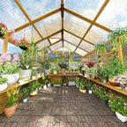 lynslim 8 x 8 ft outdoor wooden greenhouse shown in use